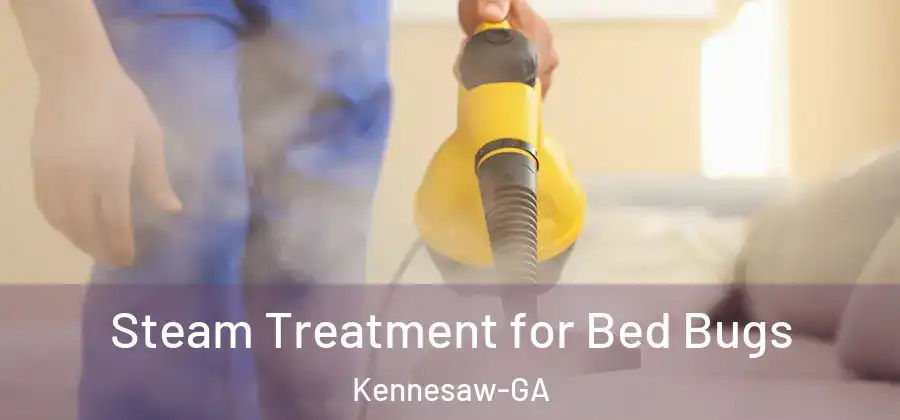 Steam Treatment for Bed Bugs Kennesaw-GA