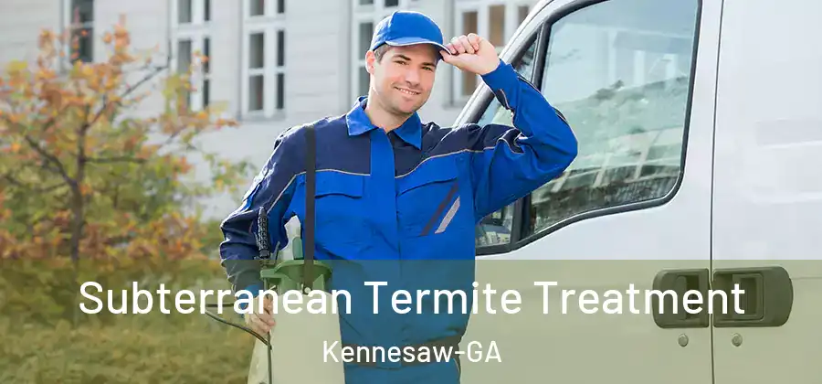 Subterranean Termite Treatment Kennesaw-GA