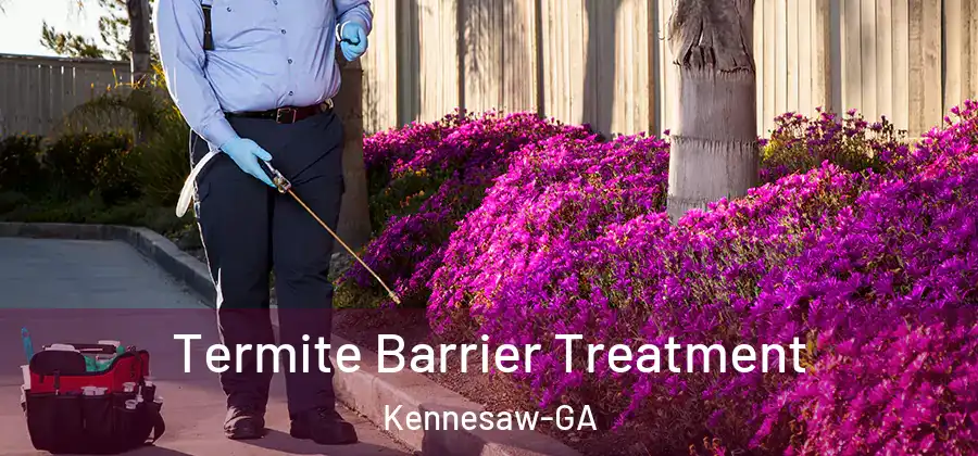  Termite Barrier Treatment Kennesaw-GA