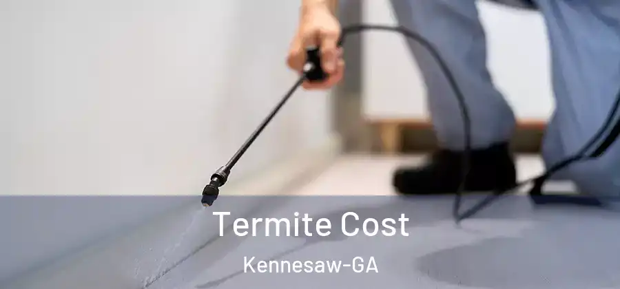 Termite Cost Kennesaw-GA
