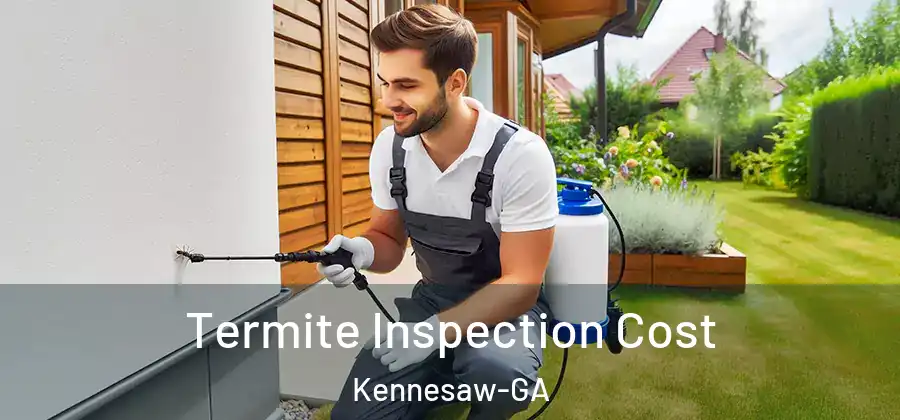 Termite Inspection Cost Kennesaw-GA