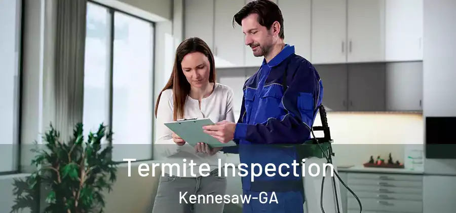 Termite Inspection Kennesaw-GA