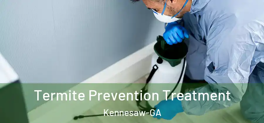 Termite Prevention Treatment Kennesaw-GA