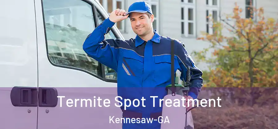  Termite Spot Treatment Kennesaw-GA