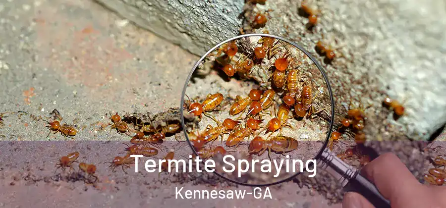 Termite Spraying Kennesaw-GA