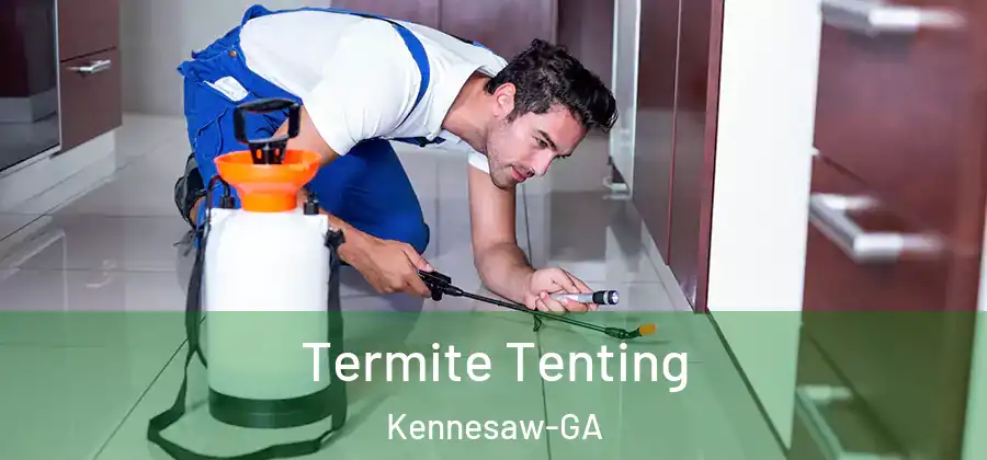 Termite Tenting Kennesaw-GA