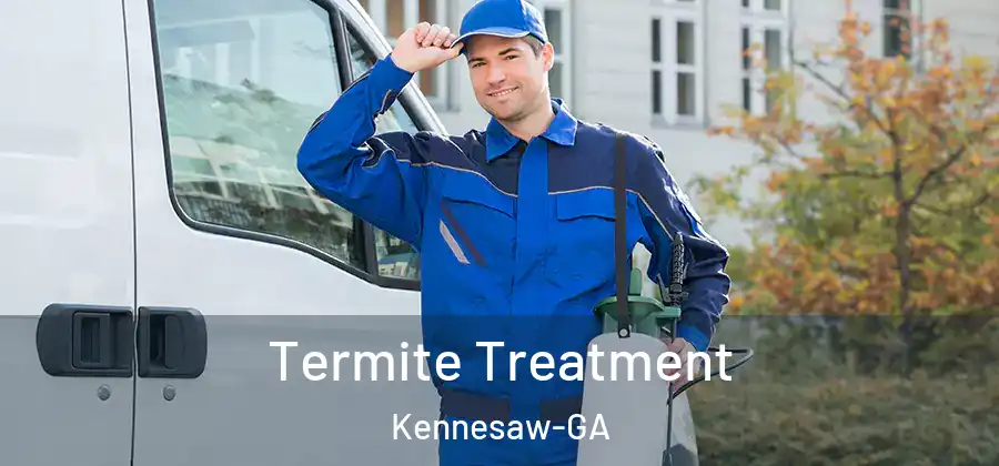 Termite Treatment Kennesaw-GA
