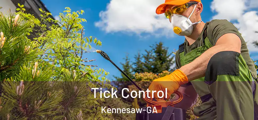 Tick Control Kennesaw-GA