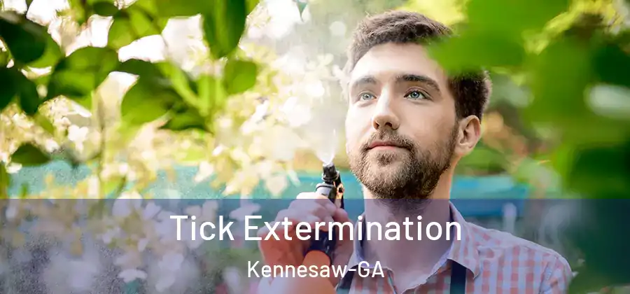 Tick Extermination Kennesaw-GA