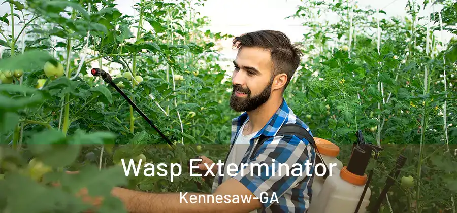 Wasp Exterminator Kennesaw-GA