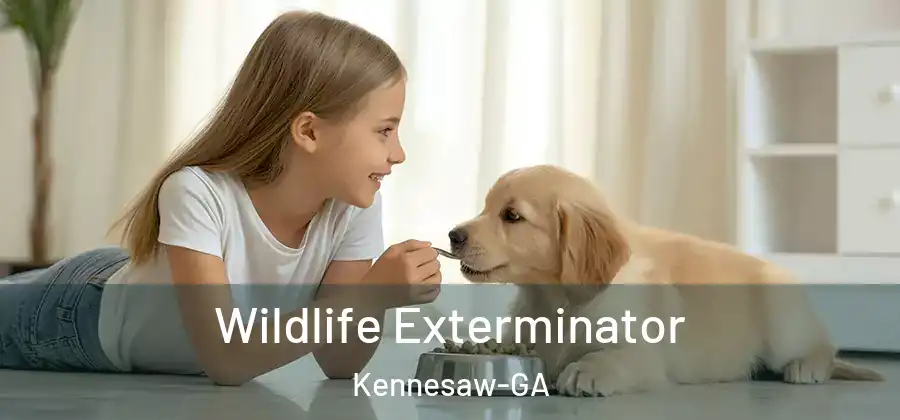 Wildlife Exterminator Kennesaw-GA