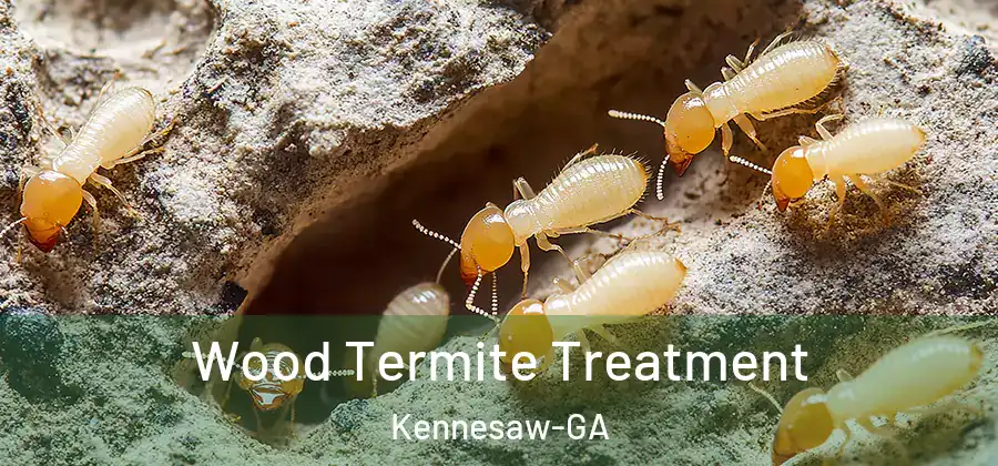 Wood Termite Treatment Kennesaw-GA