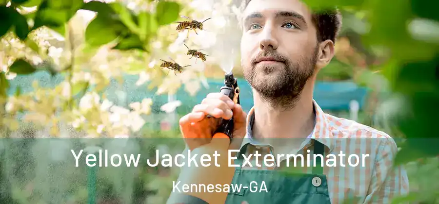 Yellow Jacket Exterminator Kennesaw-GA