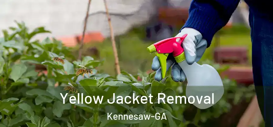 Yellow Jacket Removal Kennesaw-GA
